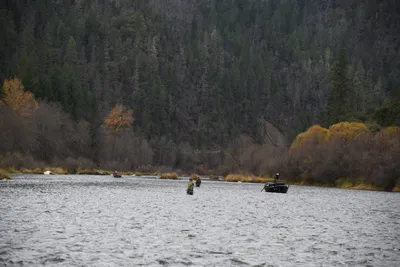 DSC_0164 (Large).JPG